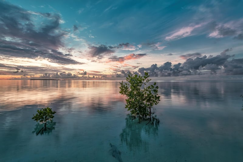 Mystery Islands
